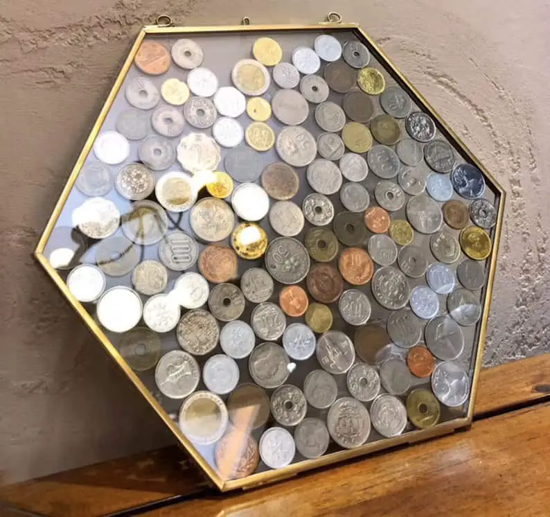 best-coin-collector-display-case