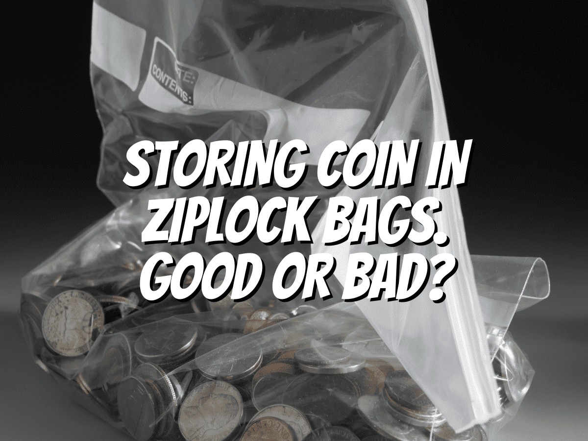 storing-coin-in-ziplock-bags-good-or-bad