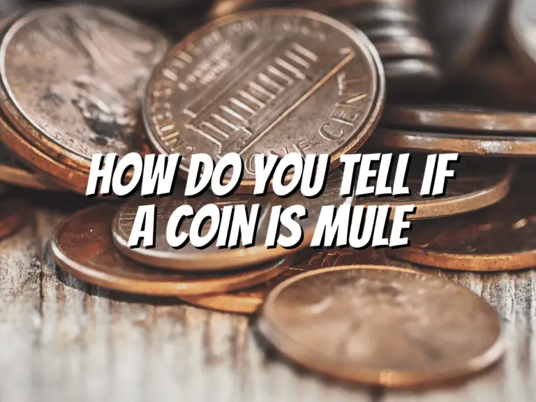 how-do-you-tell-if-a-coin-is-mule