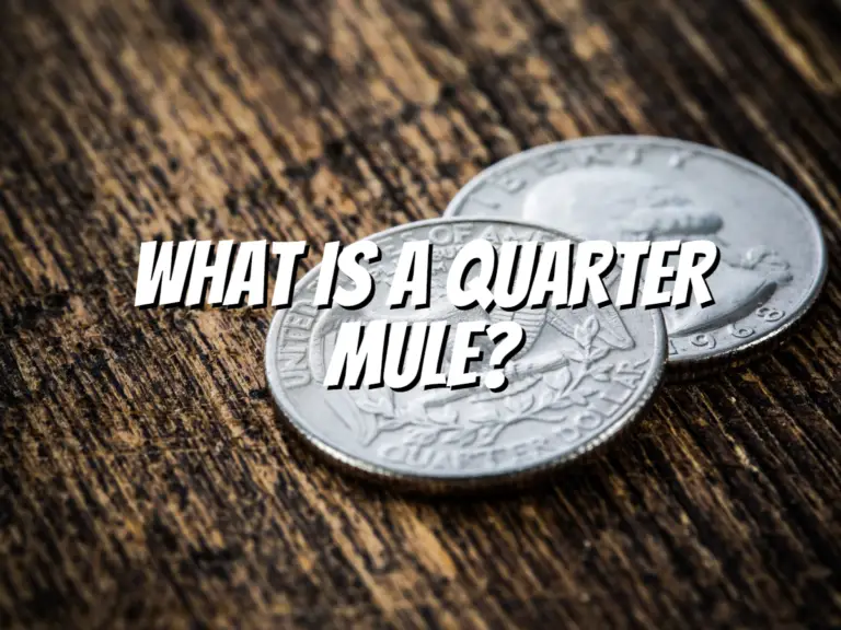 what-is-a-quarter-mule