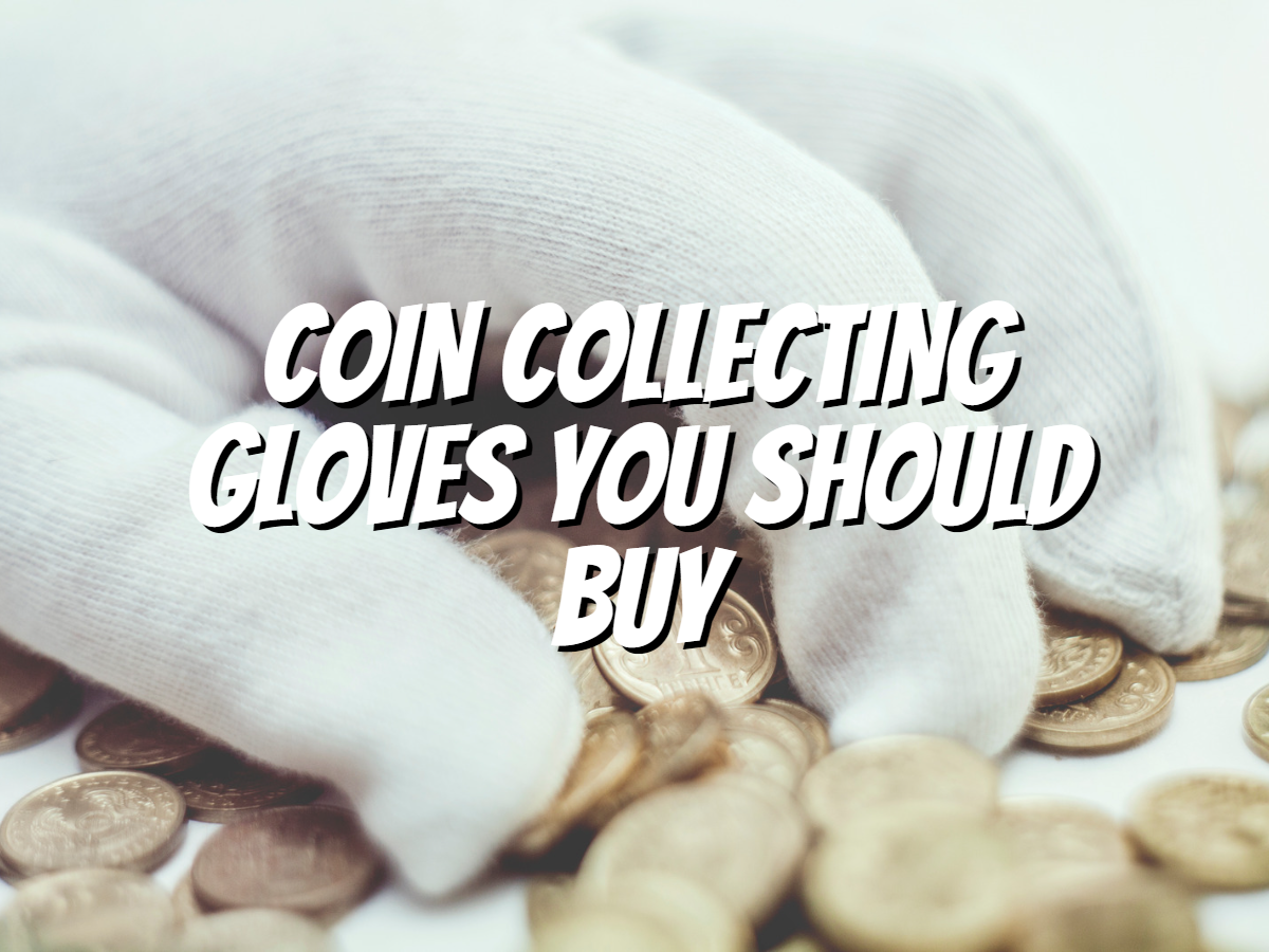 coin-collecting-gloves-you-should-buy