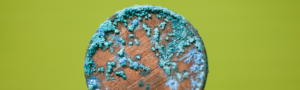 How To Prevent Oxidation On Coins? - The Collectors Guides Centre