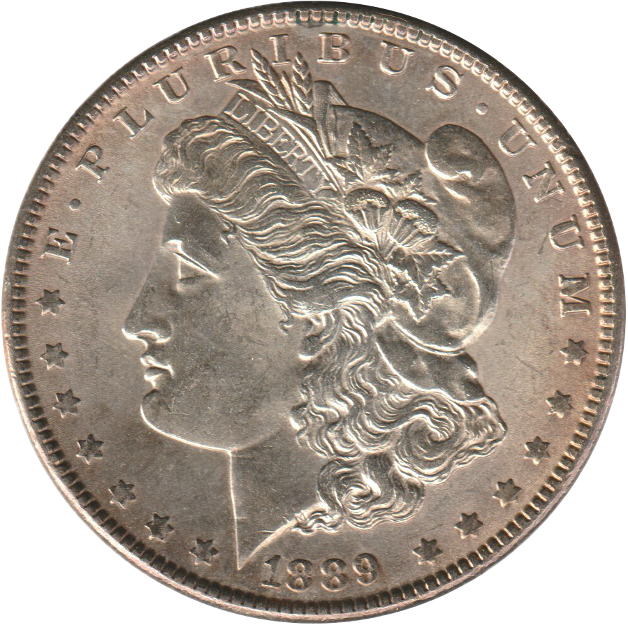How to Separate Bullion Coins from Collectible Coins Before Researching Value 2 Obverse of an 1889-P Morgan silver dollar featuring Liberty profile