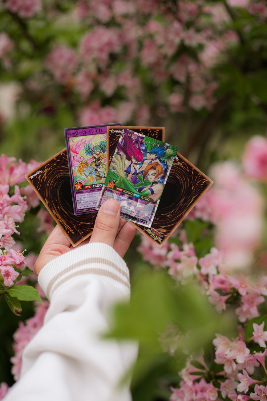 collectible trading cards photo