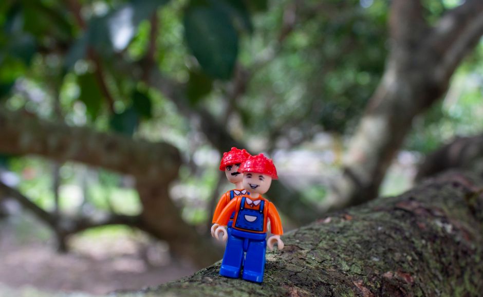 How to Store Loose LEGO Minifigures, Accessories, and Spare Parts Without Losing Them 3 collectible toys photo